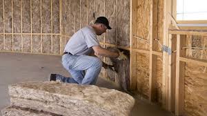 Eco-Friendly or Green Insulation Solutions in Gladeview, FL